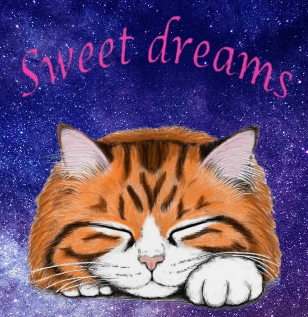 缶ミラー*Sweet dreams*