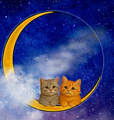 メガネ拭き *月夜のともだち*