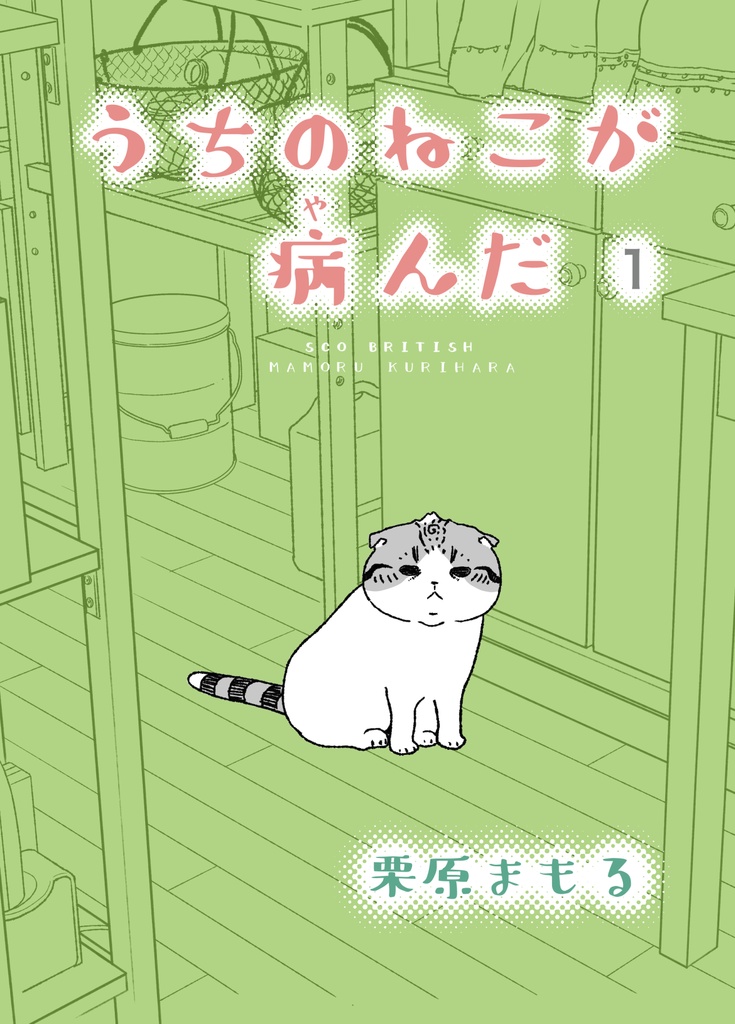 うちのねこが病んだ