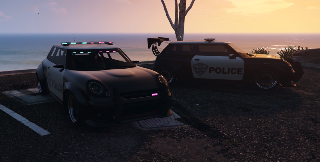 IssiSportの警察車両