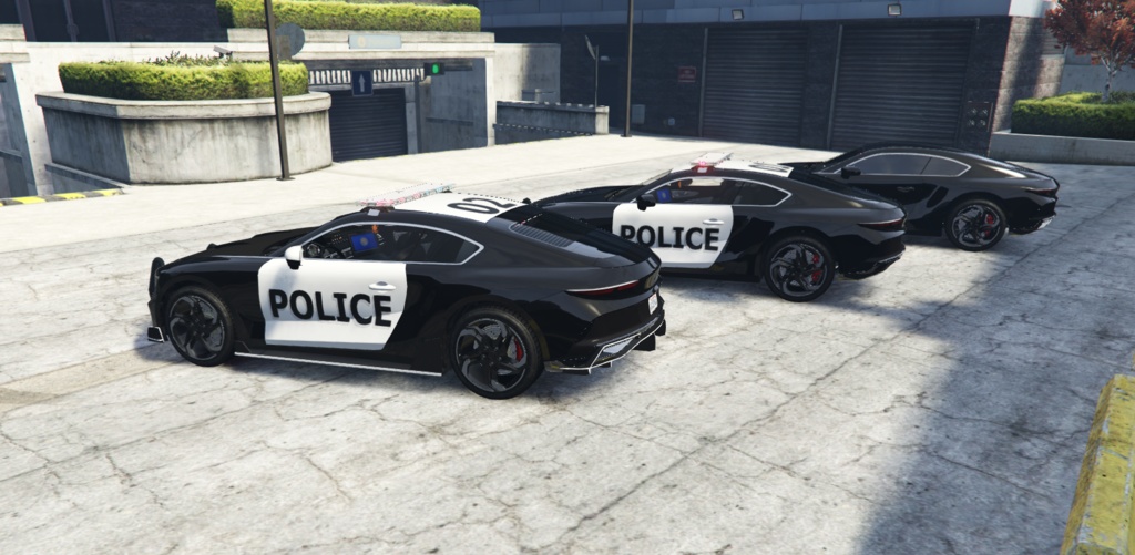 paragon3 police car