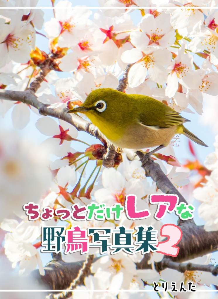 ちょっとだけレアな野鳥写真集2