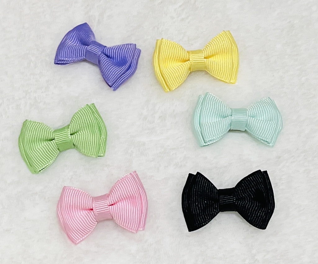 四足ポメ着ぐるみ🐶