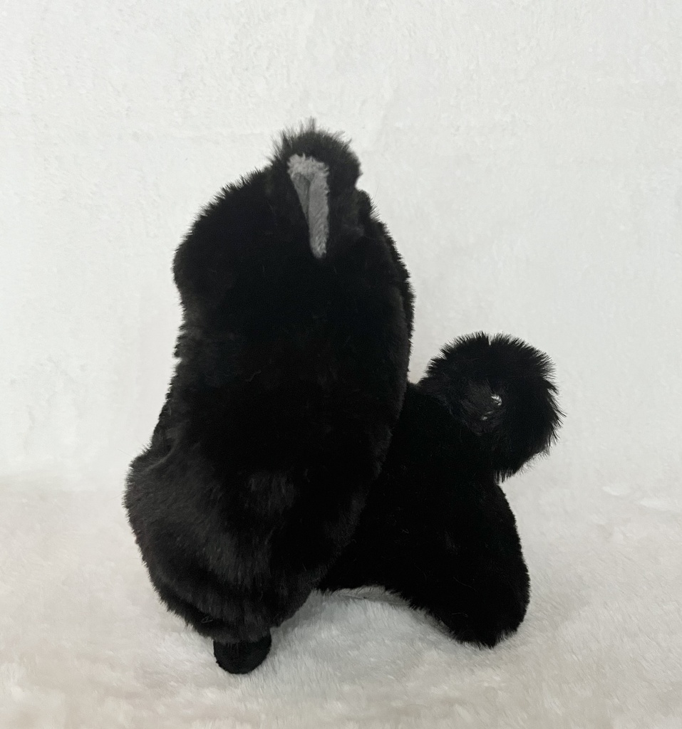 四足ポメ着ぐるみ🐶