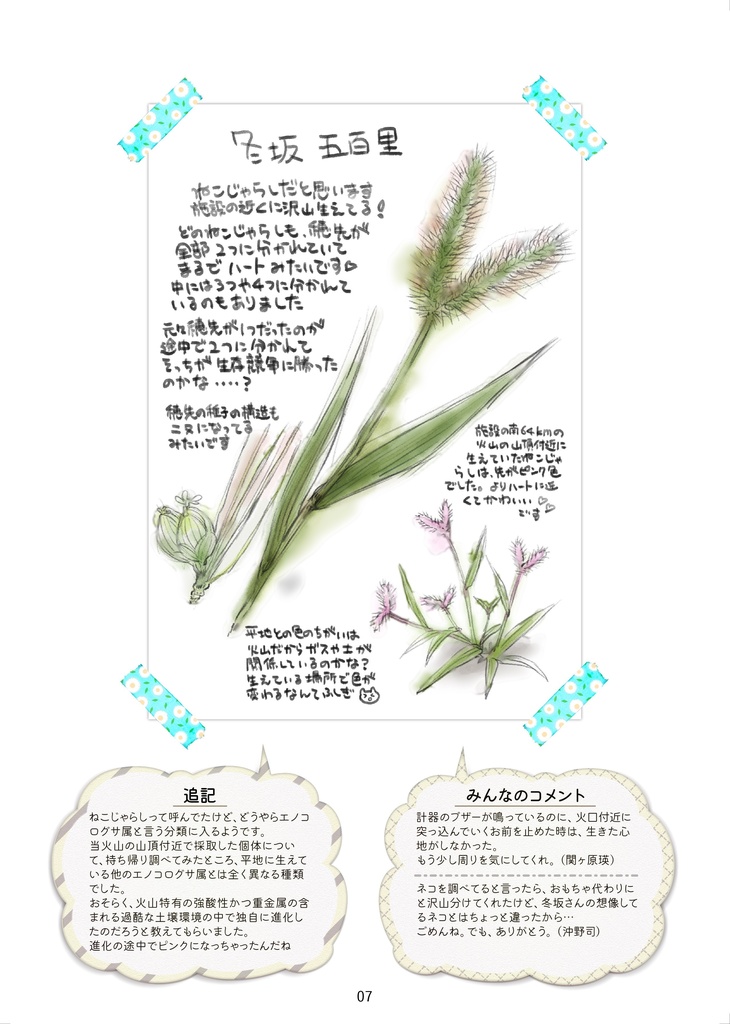 十三機兵防衛圏『新惑星』生物スケッチ・報告書合同誌