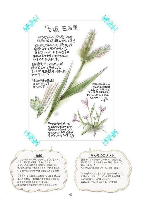 【再販版】『RS13アルファ惑星生態調査報告書』