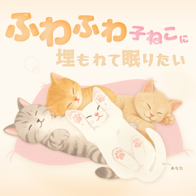 【猫堪能ASMR】 ふわふわ子ねこに埋もれて眠りたい