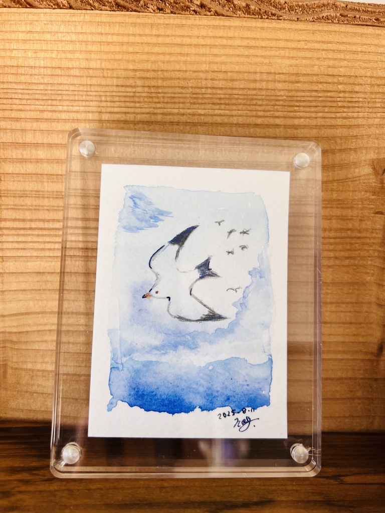 うみねこの旋回