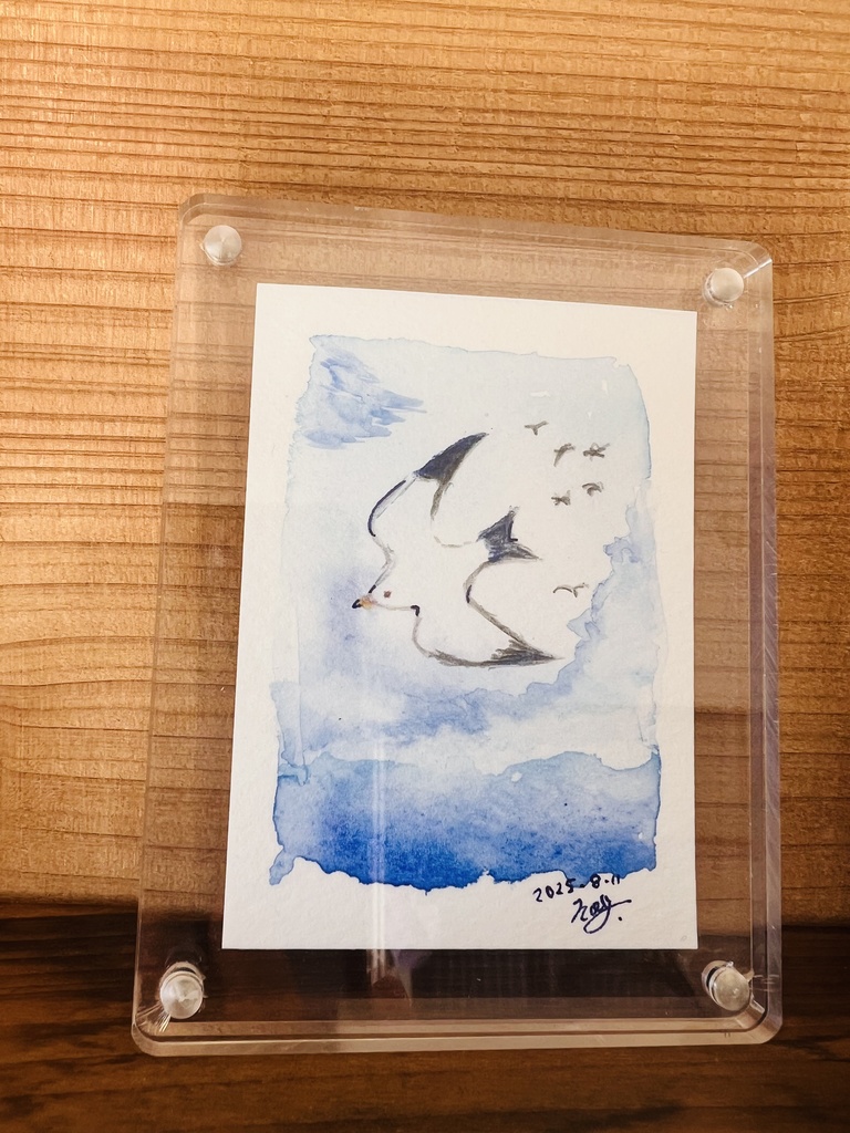 うみねこの旋回