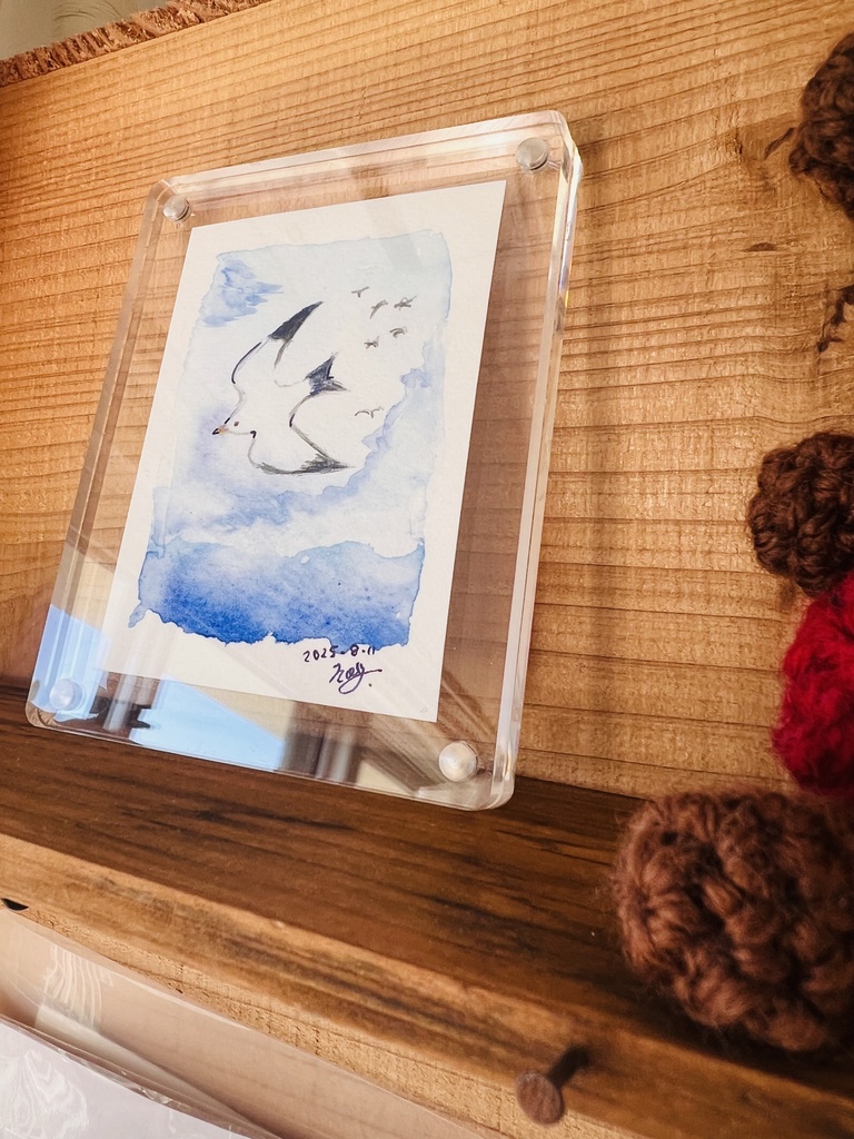 うみねこの旋回