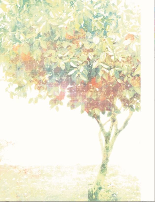 椿心中 壱 (PDF版)