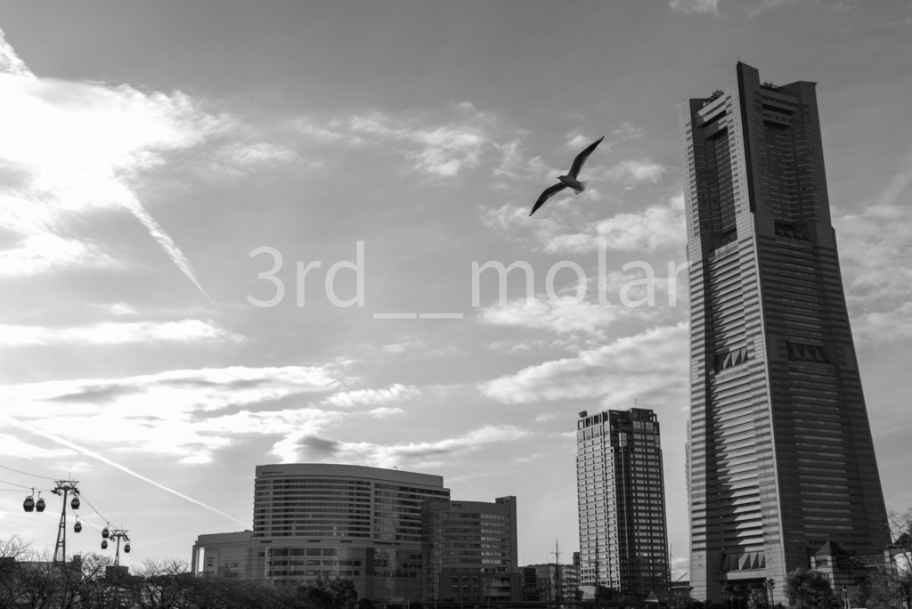 都市を飛ぶ影 – shadow over silent city 01