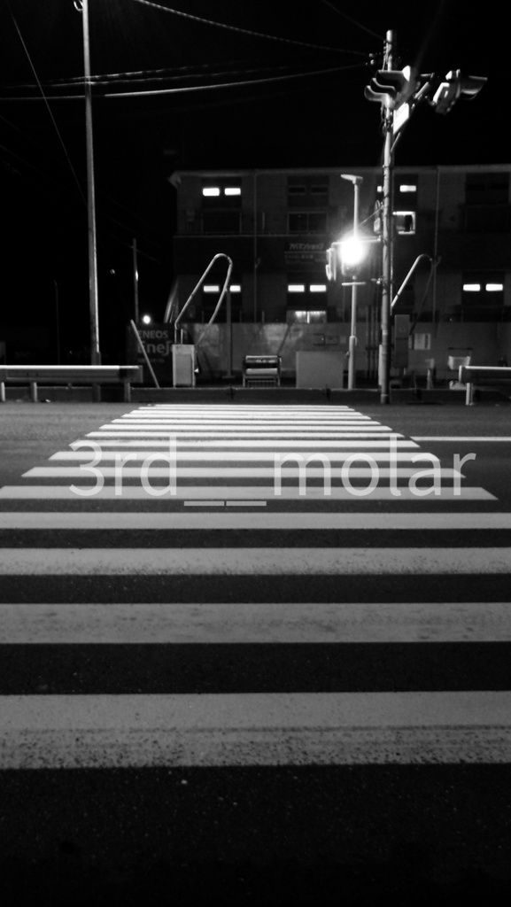 夜の誘導線 – night crossing 01（白線が導く先）