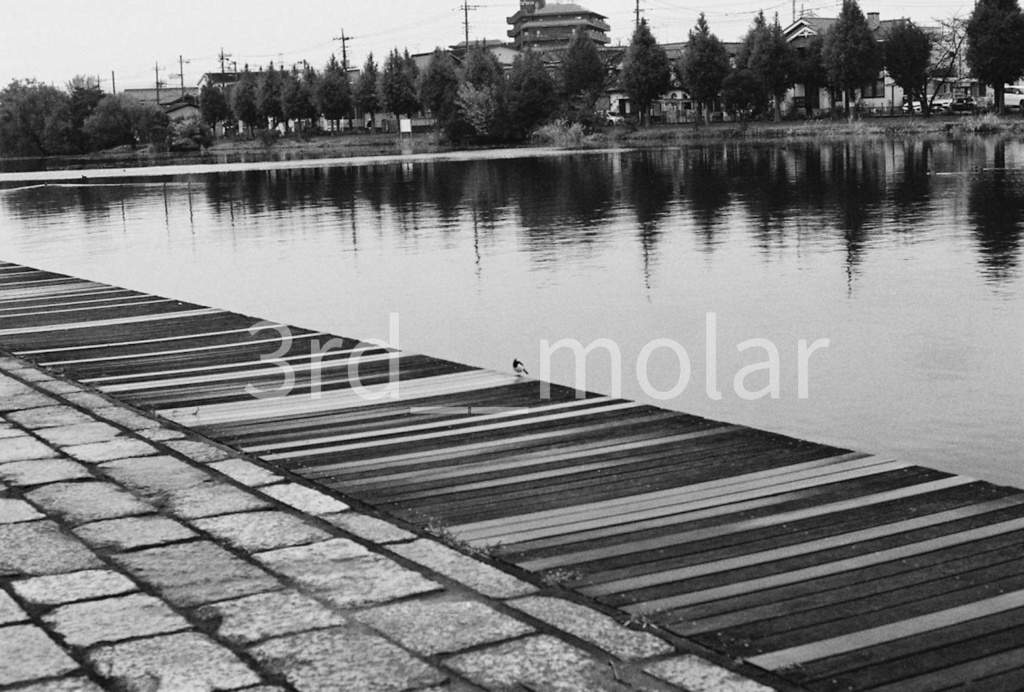 静水に浮かぶ時間｜stillness on the water 01