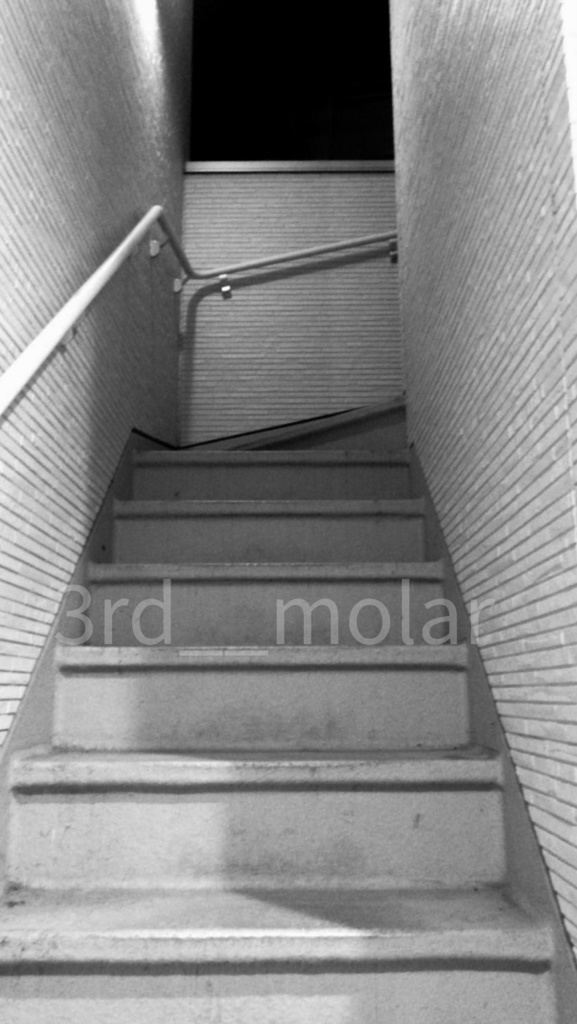 夜を駆ける光跡｜passing train 01