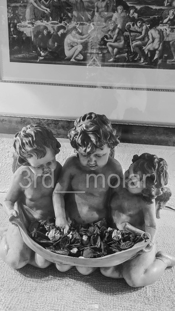 翼の余韻 – Angel of Quiet Mercy