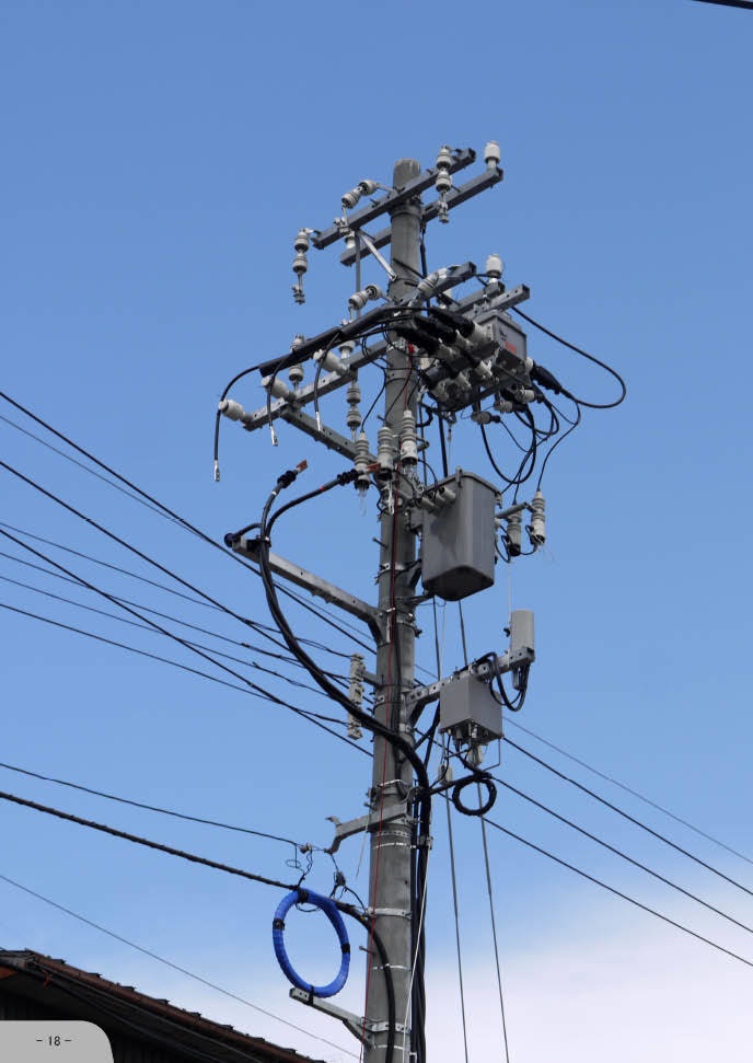 THE DENCHU 2 (e-book)