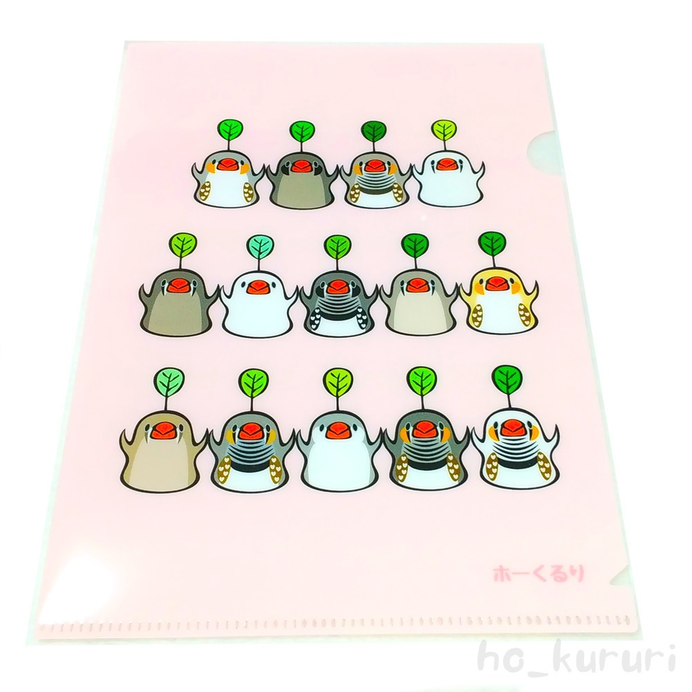 キンカチョウ 錦華鳥 A5クリアファイル 5675