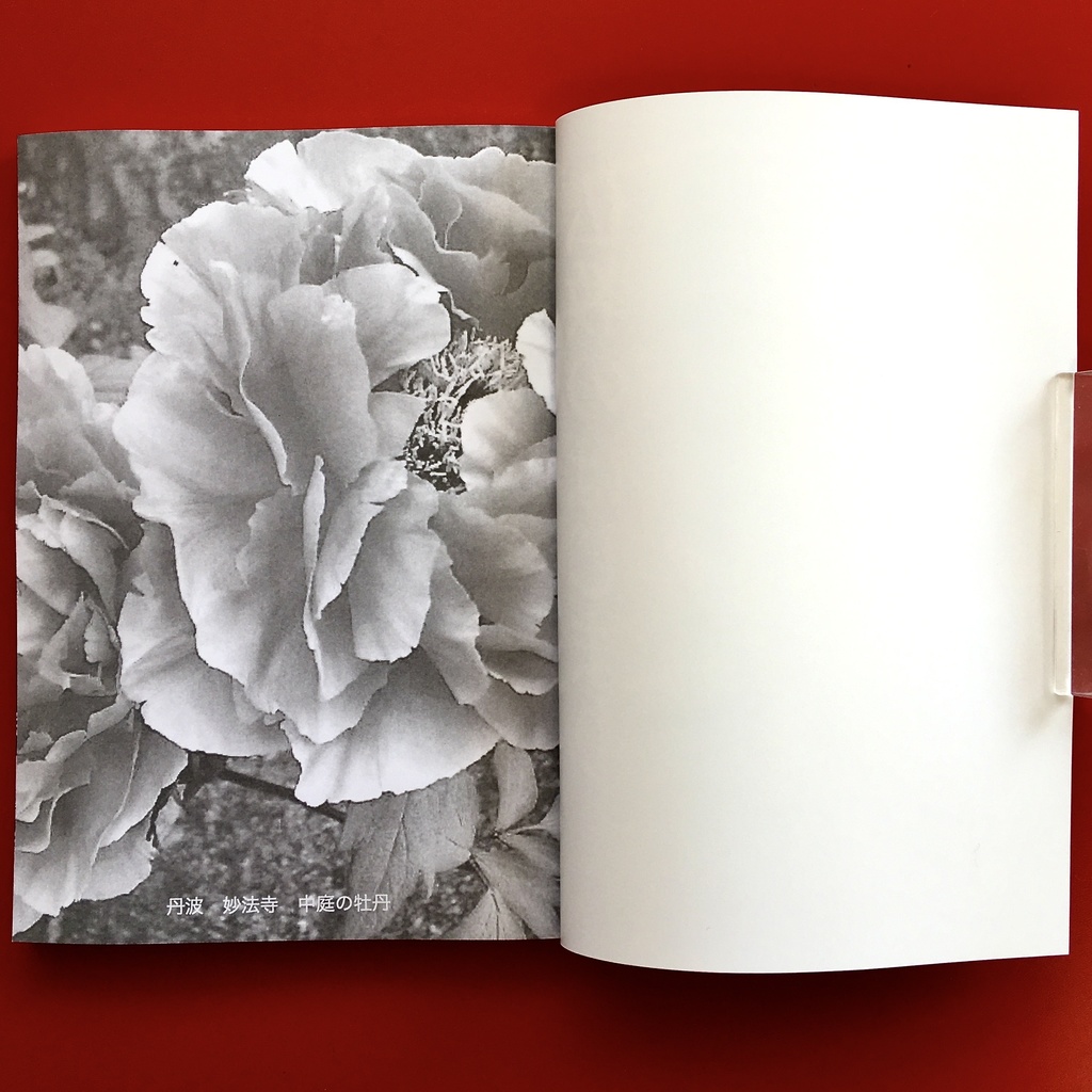 『仏教のはじまり 3.2』 モノクロ版 竹内正道