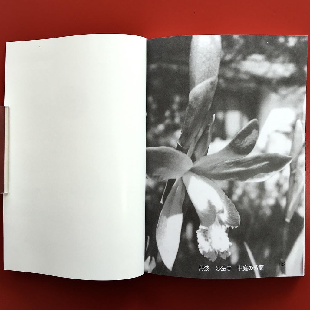 『仏教のはじまり 3.2』 モノクロ版 竹内正道