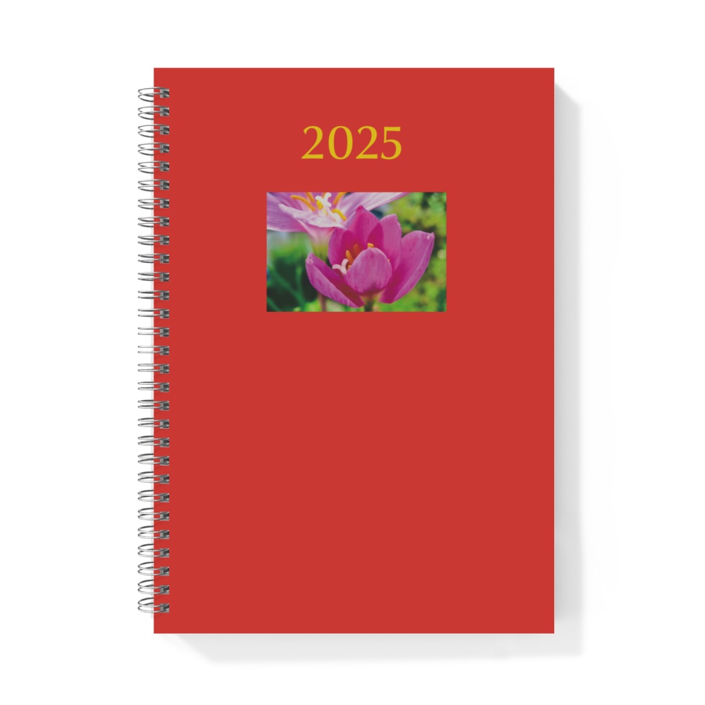 令和7年 2025年 リングノート 無地 B5版