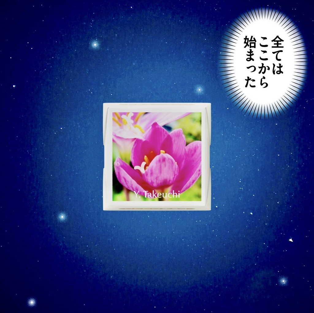 ゼフィランサス & 花菖蒲 DECOチョコ