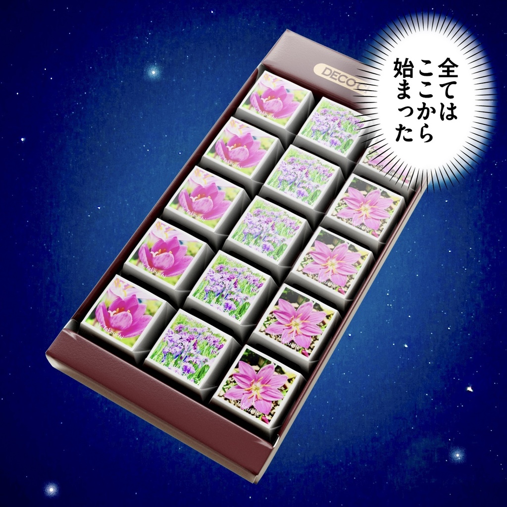 ゼフィランサス & 花菖蒲 DECOチョコ