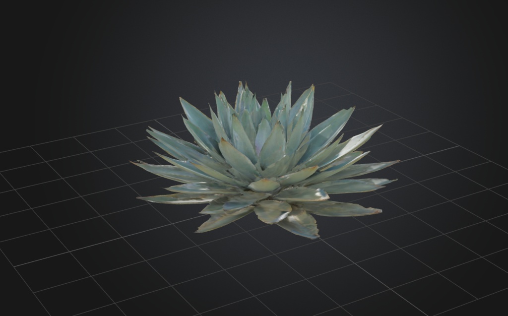 アガベ/植物 3D素材 3Dモデル(.obj)