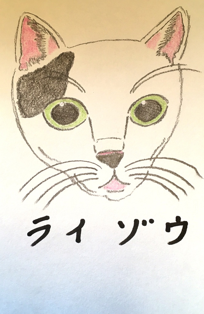 猫 イラストオーダー