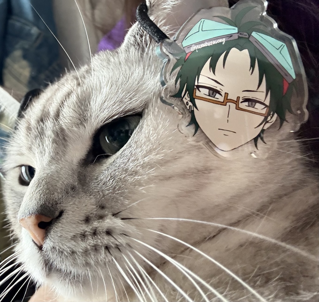 生首ヘアゴム(ラキオ、コメット、シピ)