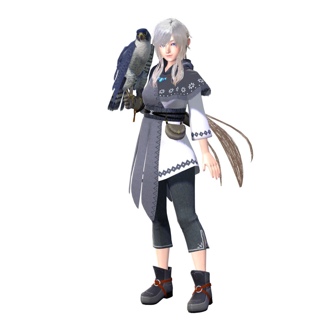 鷹匠の娘スノウ/Falconer Snow