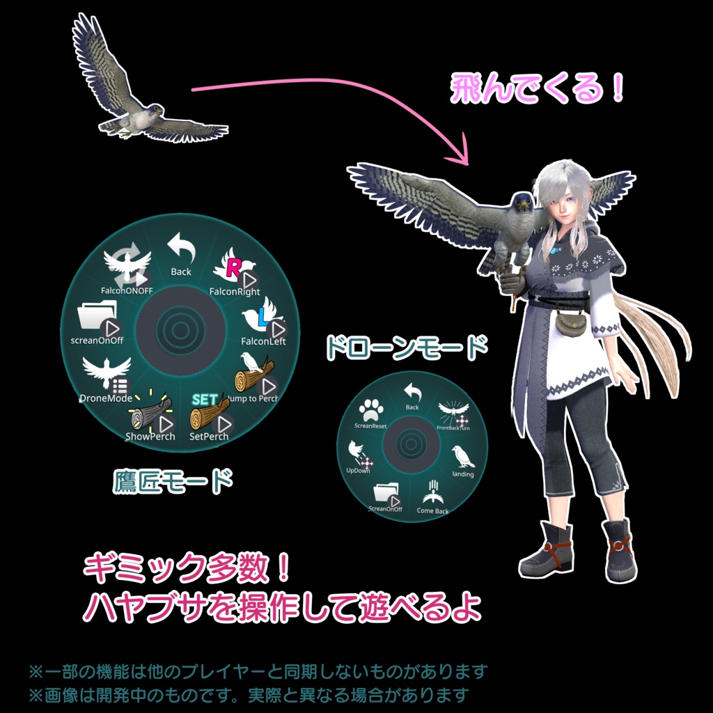 鷹匠の娘スノウ/Falconer Snow