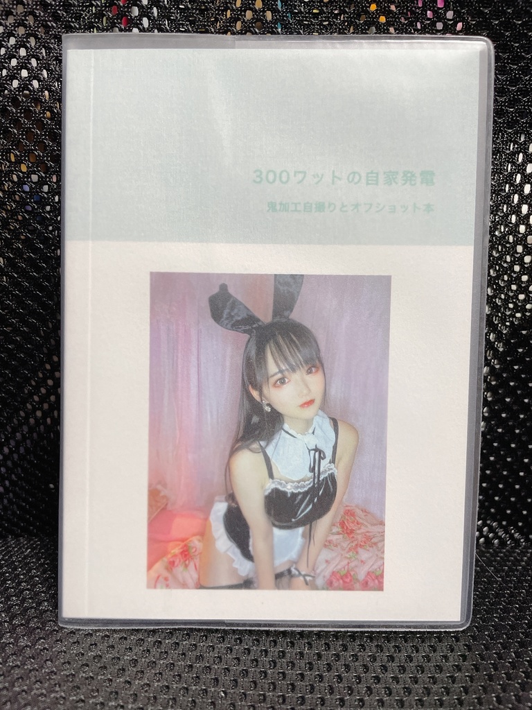 【ミニフォトブック】300ワットの自家発電