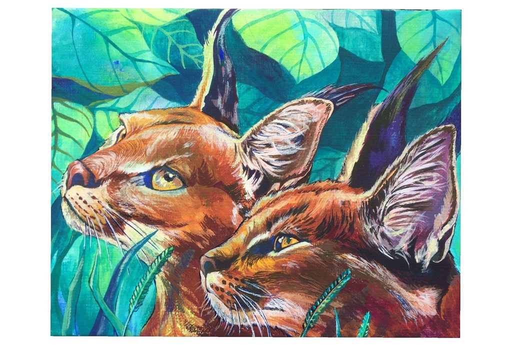 動物ポストカード（カラカル）