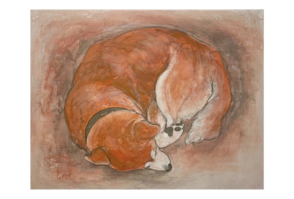 動物ポストカード（柴犬）