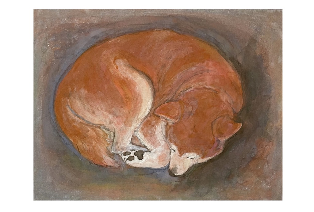 動物ポストカード（柴犬）