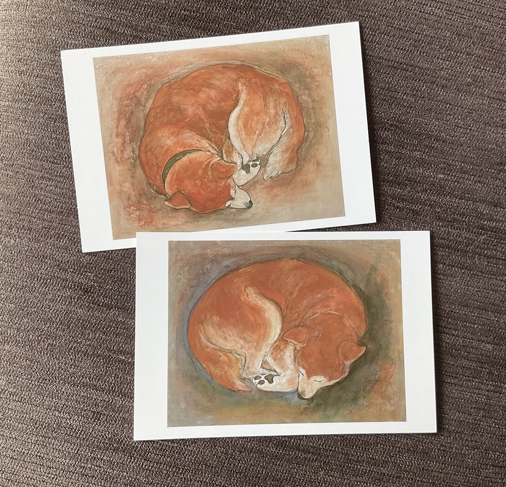 動物ポストカードセットB