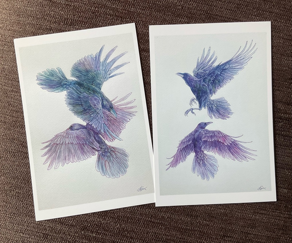 動物ポストカードセットC