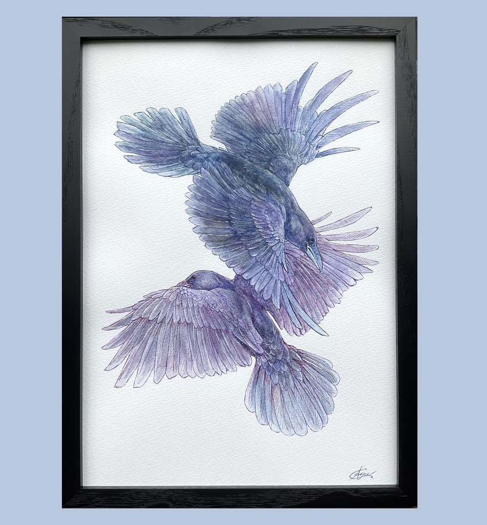 原画 カラス　「交錯」