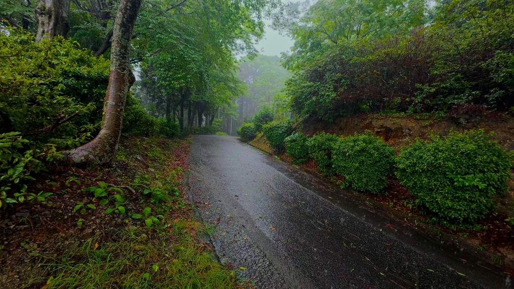 【4K 24p & 24-bit WAV】福岡・山林の雨音と石道の静寂 60分 (純自然音/睡眠・集中・作業用BGM) - Road Flow