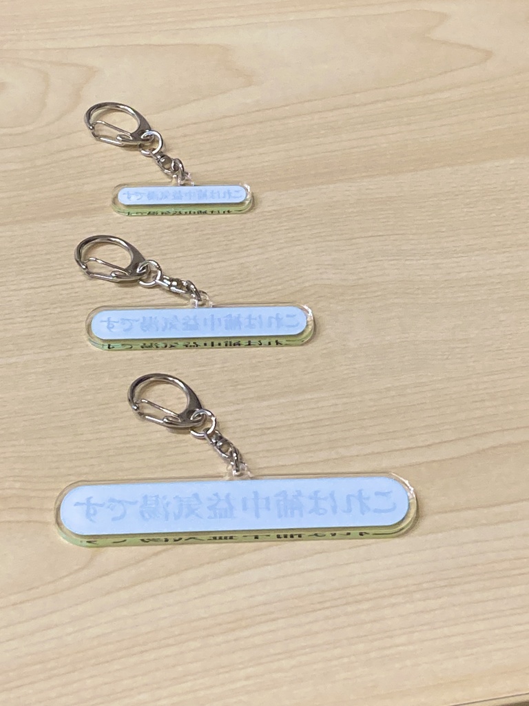 「これは補中益気湯です」アクキー