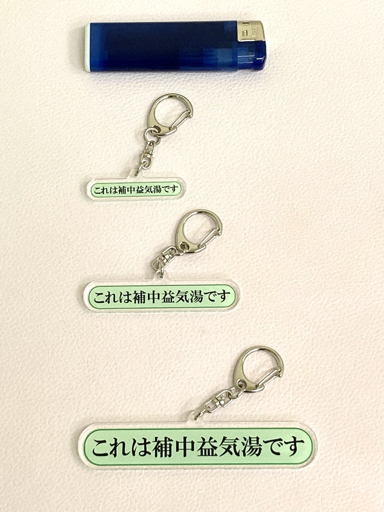 「これは補中益気湯です」アクキー