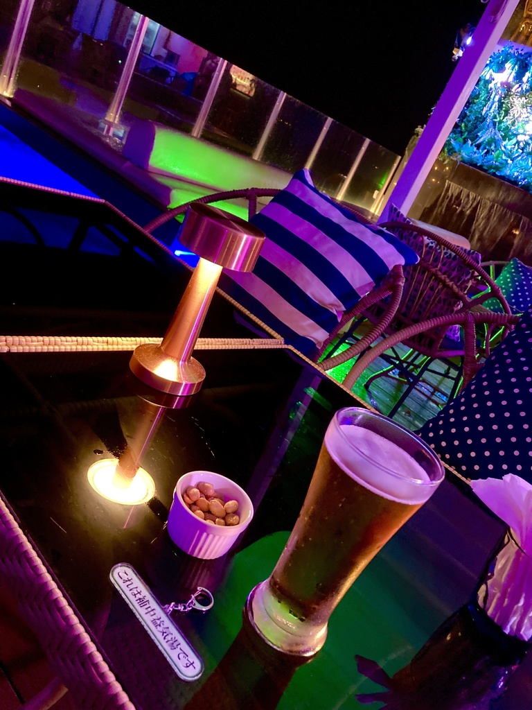 「これは補中益気湯です」アクキー