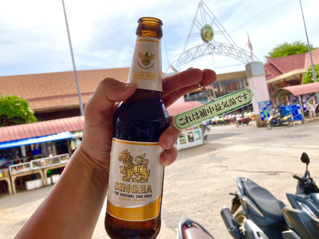 「これは補中益気湯です」アクキー