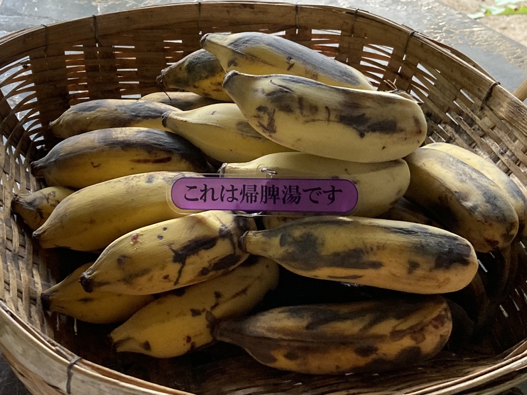 「これは帰脾湯です」アクキー