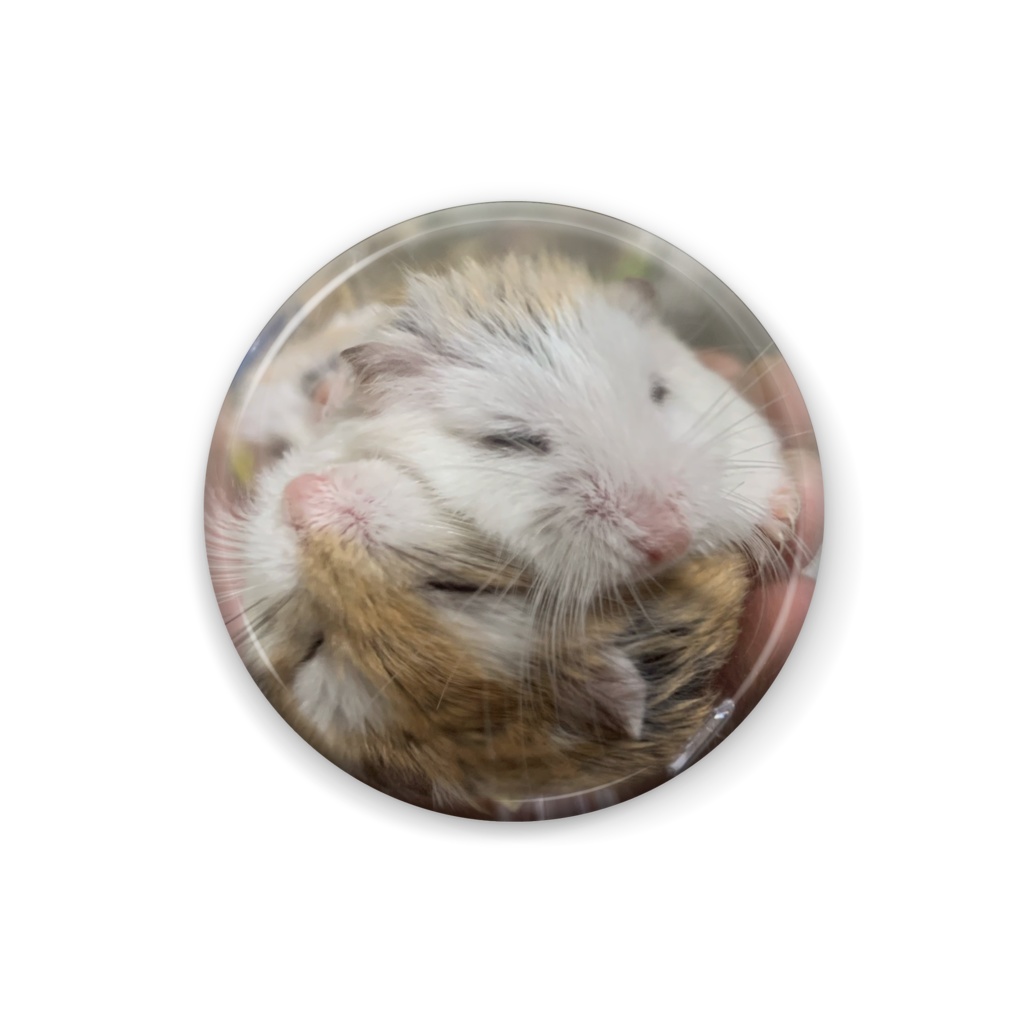 まー86²◢ ビスケ&アッシュらぶらぶ夫婦