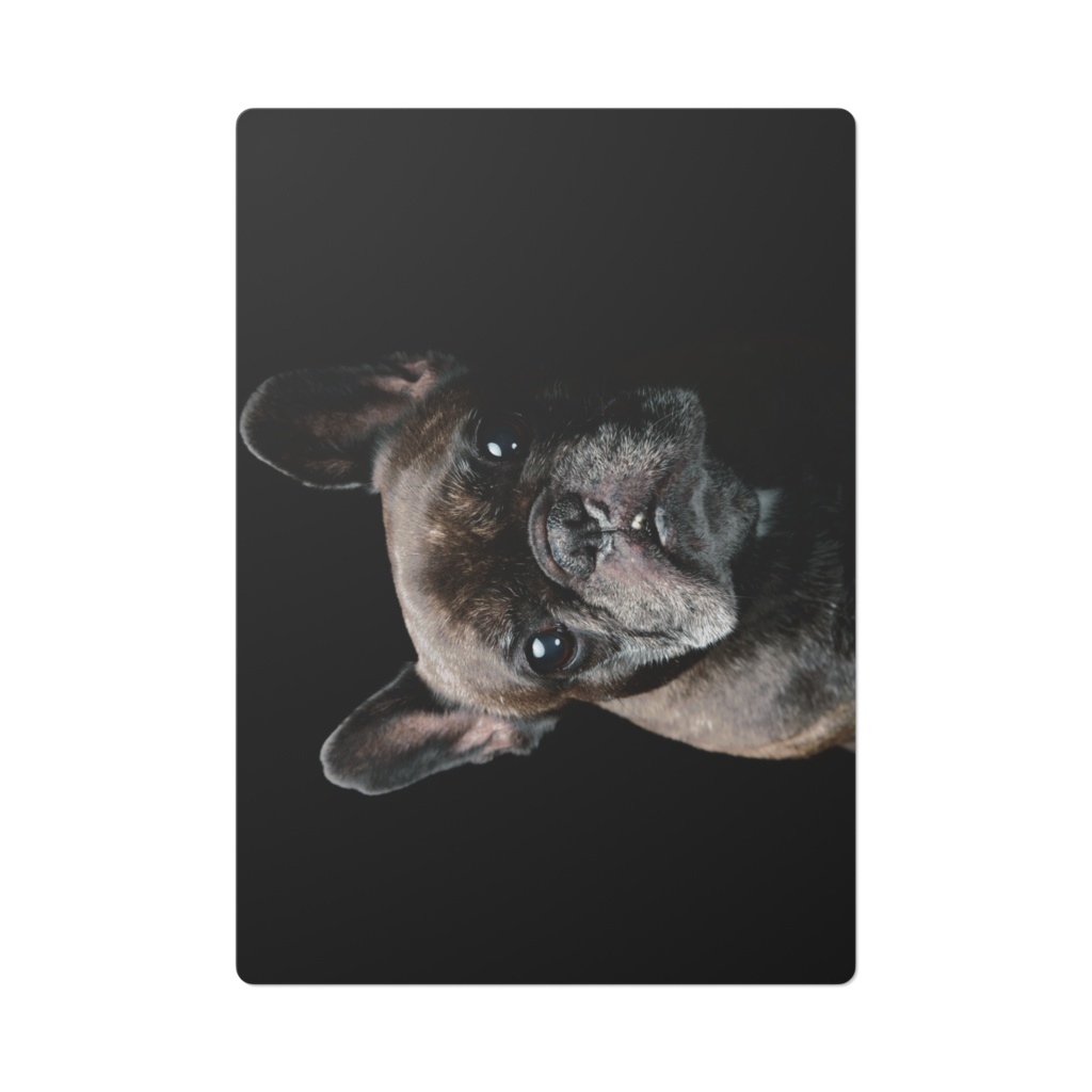 リリーの下敷き