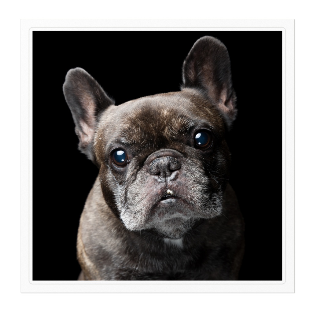 リリーのステッカー