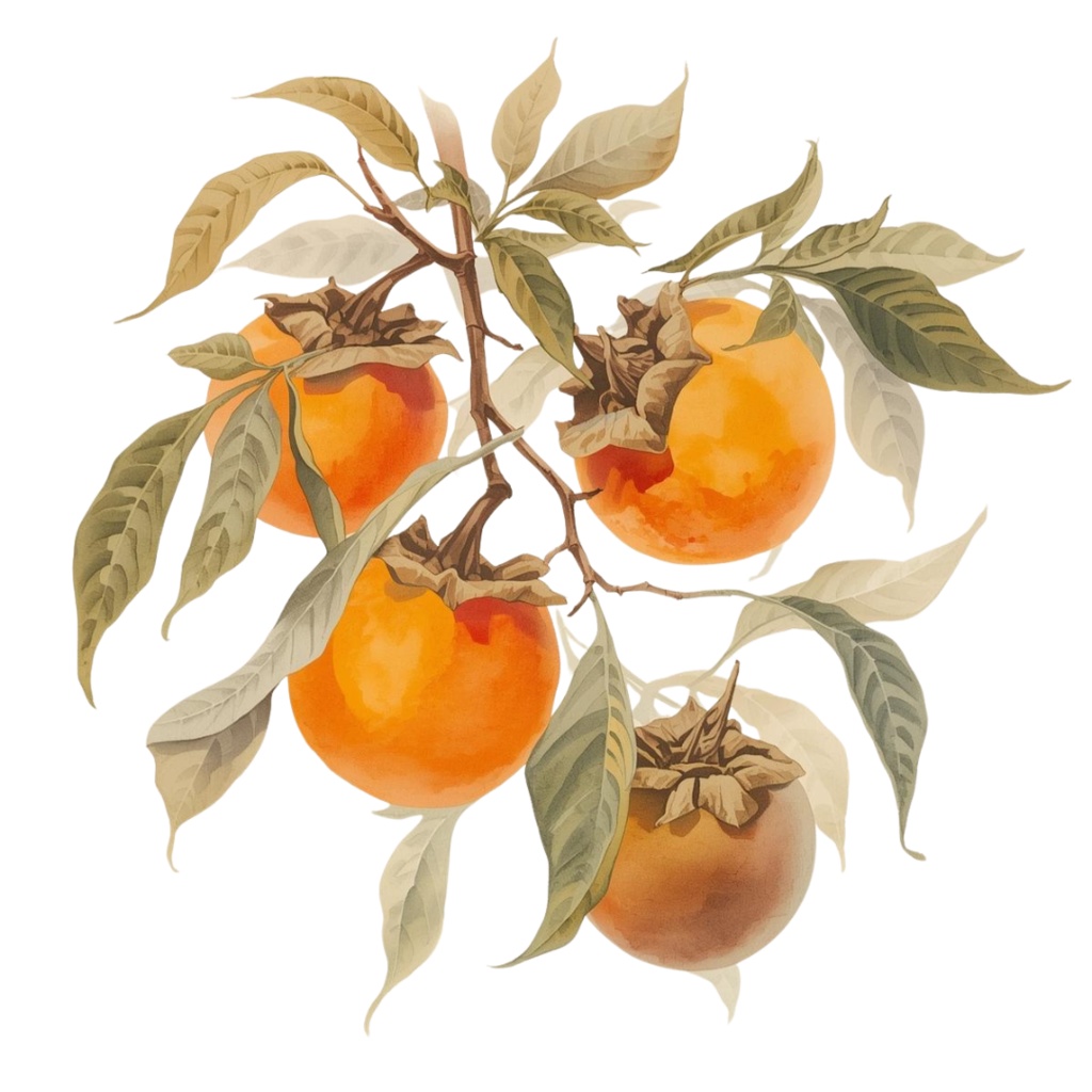 アンティーク 秋野菜 – 水彩画風 クリップアートコレクション (12 PNG)