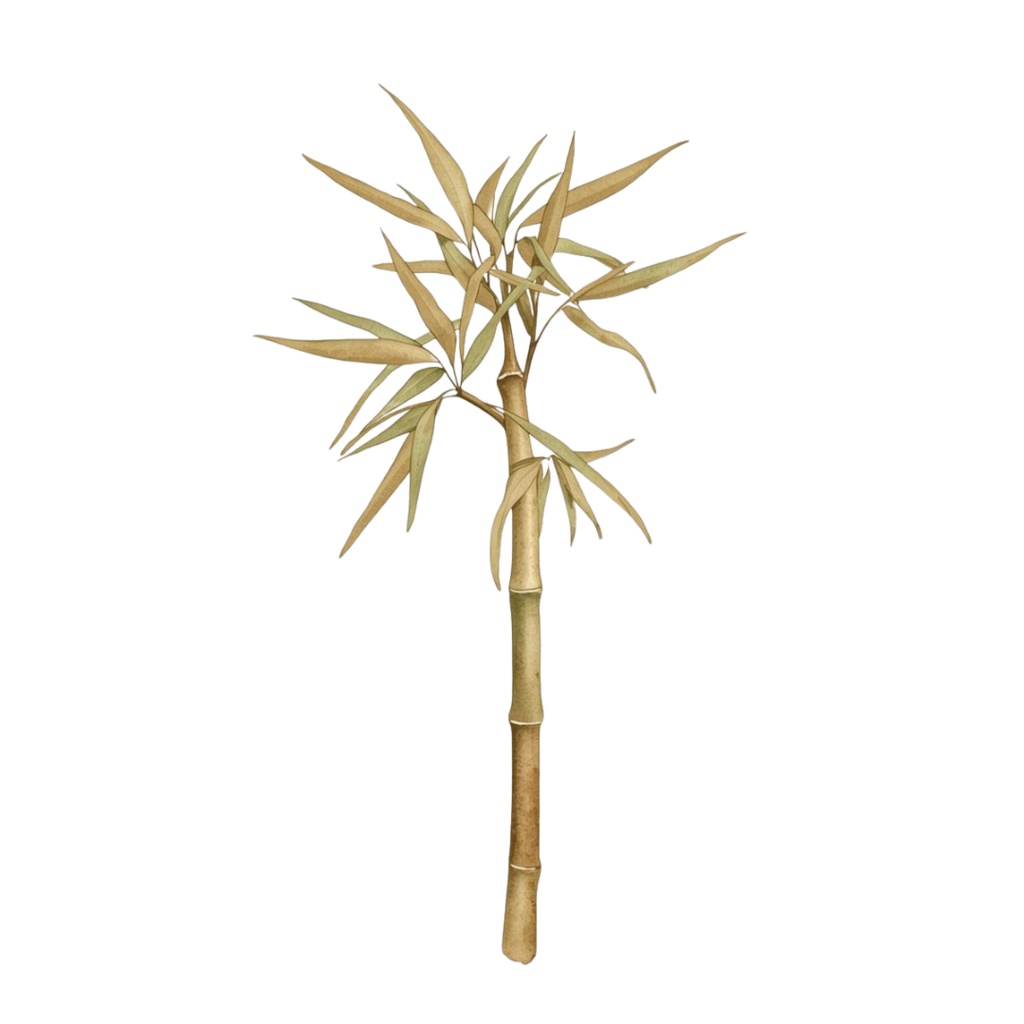 アンティーク春野菜 水彩クリップアートコレクション(全12種類)